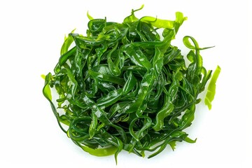 Canvas Print - Chuka seaweed salad isolated on white background edible and green