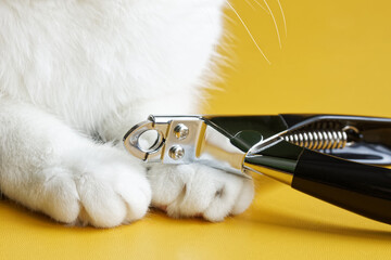 Scissors for trimming pet claws next to the fluffy white cute paws of a cat. Yellow background. Photo