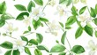 © Absent Satu - Colorful Pattern Flowers. Vector Pattern of Jasmine Flowers. Fragrance Flower Reference Picture