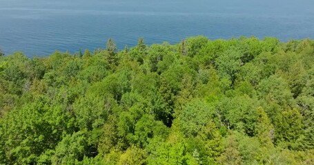 Wall Mural - forest on top of a cliff overhang looking down