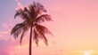 © TheWaterMeloonProjec - Palm tree against evening sky symbolizes summer at beach