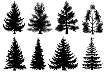 Wall Mural - pine tree silhouette set, black on white background. Pine trees collection