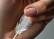 © Michaelyo - Hand Holding White Feather