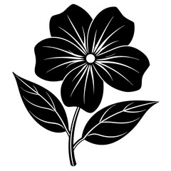 Poster - black and white flowers