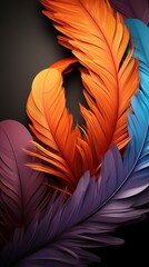 Wall Mural - feather on black background   HD 8K wallpaper Stock Photographic image
