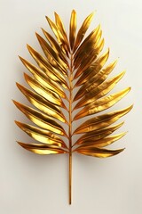 Wall Mural - Lush Golden Palm Frond Botanical Specimen Centered on Clean White Backdrop with Natural Illumination