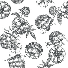 Wall Mural - Raspberry seamless pattern. Vector drawing. Isolated sketch of berries and leaves in engraving style on white background. Detailed line sketch, hand drawn. The background for packaging design, labels.