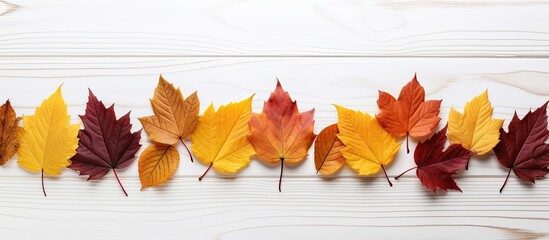 Poster - Autumn leaves arranged artistically on a white wooden surface with copy space image.