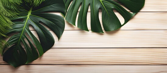 Poster - A summer-themed image featuring a green tropical monstera leaf on a white wooden table with a blank area for text or design, known as a copy space image.