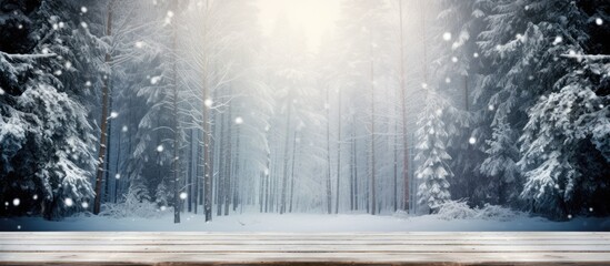 Sticker - Snow-covered forest with fir-trees in a winter Christmas landscape, wooden flooring dusted with snow, ideal for a copy space image.
