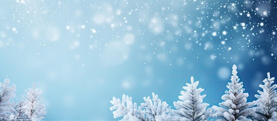 Poster - Winter-themed Christmas fir tree branches on a blurred blue background, conveying a festive holiday atmosphere; ideal for a copy space image.