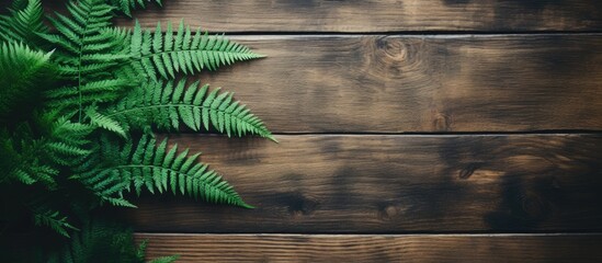 Leinwandbilder - Natural background with fern leaves on a rustic table, featuring copy space image.
