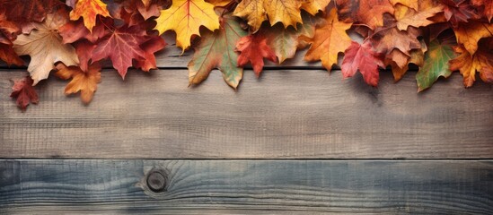 Poster - View from top showing fall leaves on a weathered wooden backdrop with space for image insertion. with copy space image. Place for adding text or design