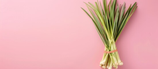 Wall Mural - Fresh Lemongrass Isolated on pastel background with clipping path and full depth of field. with copy space image. Place for adding text or design