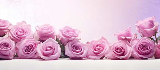Aufkleber - Isolated background featuring light magenta roses with copy space image.