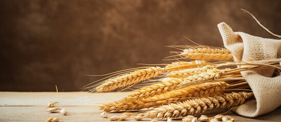 Fototapete - Wheat ears displayed on a table for design purposes with a copy space image.