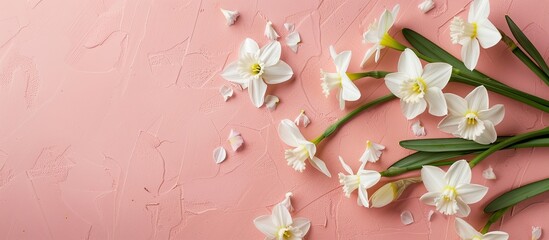 Aufkleber - Top view of white daffodils on a pink backdrop with room for text or other elements in the image. Copy space image. Place for adding text and design