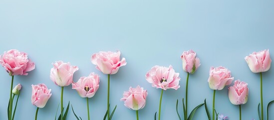 Aufkleber - Flat lay view of pink flowers arranged on a soft blue backdrop with copy space image.