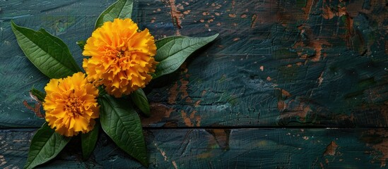 Wall Mural - Marigold flower with leaf on dark wooden background, creating a striking composition for a copy space image.