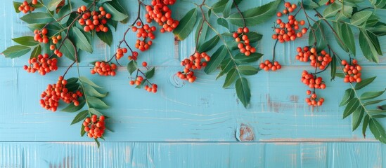 Aufkleber - Ripe rowan berries and green leaves arranged on a light blue wooden table in a flat lay composition with room for text in the image. Copy space image. Place for adding text and design