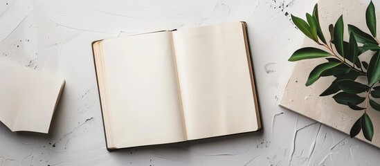 Fototapete - An open book diary featuring empty pages against a white backdrop, ideal as a copy space image.