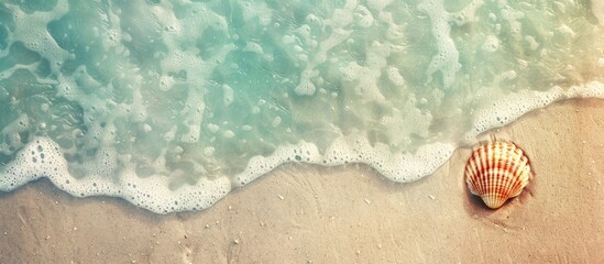 Aufkleber - Sand beach copy space image with a seashell texture, presenting an abstract background. Evokes a summer vacation and travel relaxation theme, enhanced with a vintage tone filter effect.