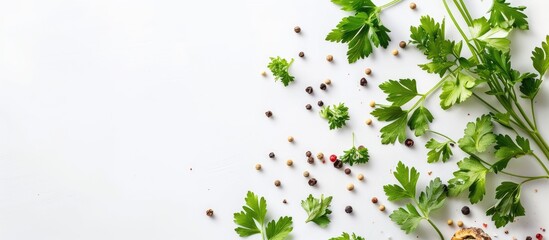 Poster - Fresh parsley and spices on a white background with copy space image.