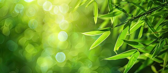 Aufkleber - Leaves of bamboo, creating the possibility of including a copy space image.
