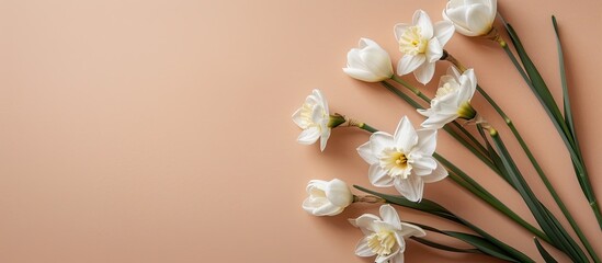 Aufkleber - A flat lay composition showcasing Narcissus flowers and white tulips on a beige background with ample copy space, ideal for a neutral book cover concept.