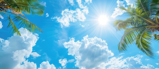 Canvas Print - Blue sky with white clouds and palm trees in the foreground, ideal for copy space image.