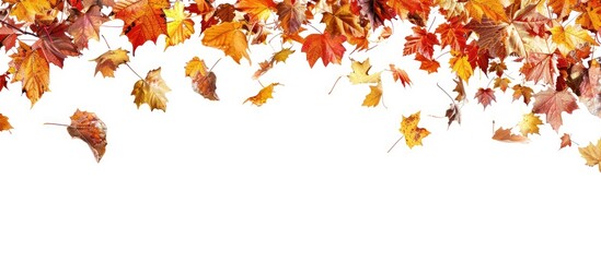 Wall Mural - Fall leaves cascading over white background with ample copy space image.