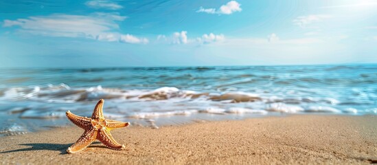 Aufkleber - starfish lying on the sandy shore with vast blue sea and clear skies in the background, creating a p