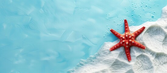 Leinwandbilder - Summery vibe with a red starfish against white sand on a blue backdrop, evoking the essence of summer vacations in this copy space image.