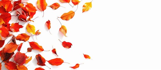 Aufkleber - Fall leaves cascading over white background with ample copy space image.