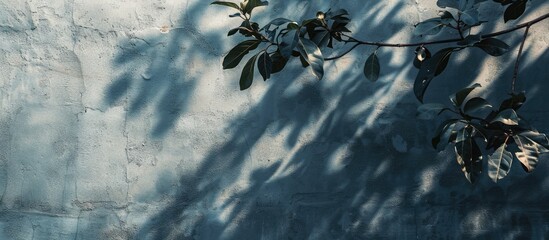 Poster - Blurry shadow of a leafy tree against a gray wall background with empty copy space image.