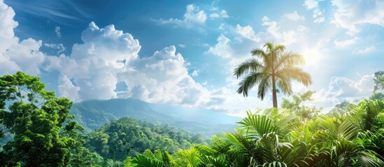 Ideal for design or wallpaper with a picturesque view of lush green bushes and exotic tropical trees against a blue sky with clouds, perfect for a postcard or poster with copy space image.