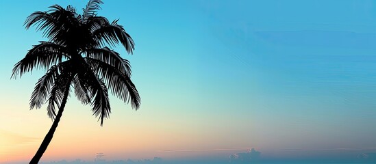Wall Mural - Silhouette of a tropical beach with a coconut palm swaying in the wind against a serene backdrop with empty space for image placement. Copy space image. Place for adding text and design