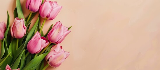 Canvas Print - Pink tulip bouquet shown in a close-up on a beige backdrop with ample room for text in a copy space image.