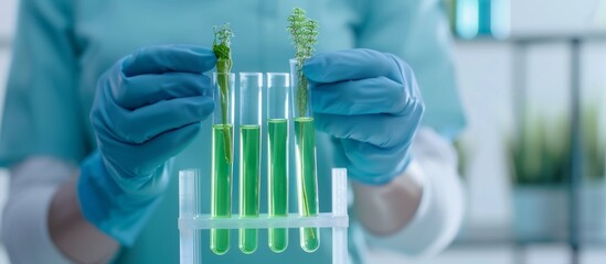 Scientist holding test tubes with plant material in the laboratory