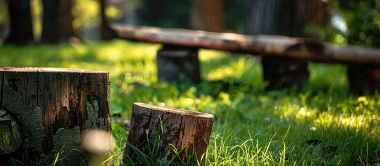 Wall Mural - Close-up of wooden logs with one in the grass, accompanied by a wooden table and bench in a forest setting, with wood featured as background and texture in the copy space image.