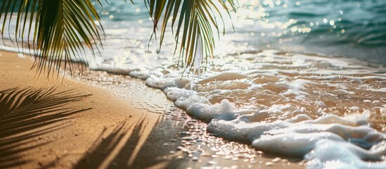 Poster - Sandy beach with captivating details in the background, perfect for adding text. Copy space image desired.