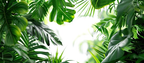 Wall Mural - A tropical backdrop with lush green leaves and a copy space image.