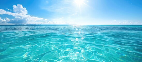 Poster - Sunny tropical sea with clear blue skies overhead in a stunning copy space image.