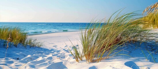 Poster - Sandy beach with captivating details in the background, perfect for adding text. Copy space image desired.