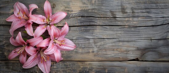 Poster - Old wooden background with pink lilies, featuring copy space image.