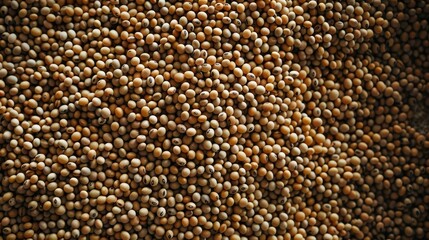 Wall Mural - High angle shot of organic soy seeds superfood background