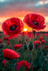 Wall Mural - Two red flowers in a field with a sun in the background. The sun is setting and the flowers are in full bloom