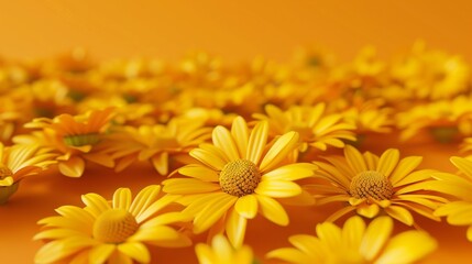 Wall Mural - 3d render of yellow daisies field on orange background