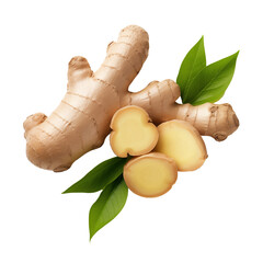 Wall Mural - Fresh ginger root or rhizome isolated on white background, png