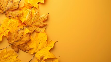 the wallpaper features maple leaves arranged with space for letters, on a yellow background.